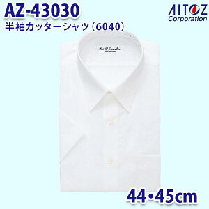 AZ-43030 44E45cm Jb^[Vc 6040 Y AITOZACgX AO10