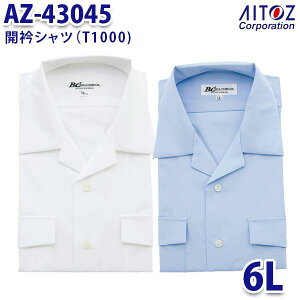 AZ-43045 6L J܃Vc T1000 Y AITOZACgX AO10