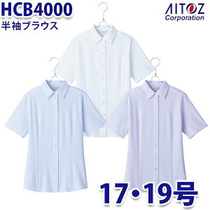 HCB4000 17E19 uEX fB[X AITOZACgX AO10