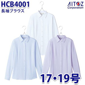 HCB4001 17E19 uEX fB[X AITOZACgX AO10