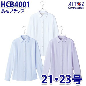 HCB4001 21E23 uEX fB[X AITOZACgX AO10