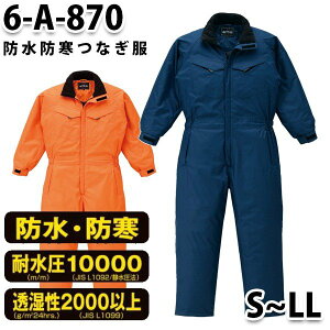 Ȃ cdL 6-A-870 hhcdL S`LL hSALEZ[RcCȂI[goC