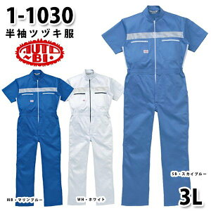 Ȃ cdL 1-1030 cdL 3L 傫TCY cdLSALEZ[RcCȂI[goC