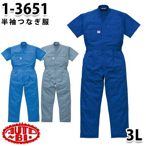 Ȃ cdL 1-3651 cdL 3L 傫TCY cdLSALEZ[RcCȂI[goC