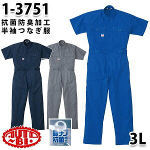 Ȃ cdL 1-3751 cdL 3L 傫TCY cdLSALEZ[RcCȂI[goC