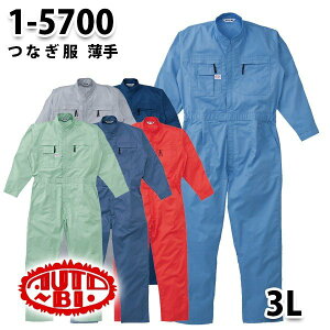 Ȃ cdL 1-5700 cdL 3L 傫TCY cdLSALEZ[RcCȂI[goC