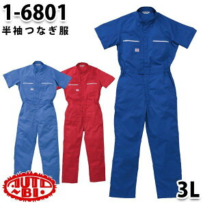 Ȃ cdL 1-6801 cdL 3L 傫TCY cdLSALEZ[RcCȂI[goC