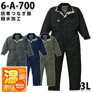 Ȃ cdL 6-A-700 hcdL 3L 傫TCY hSALEZ[RcCȂI[goC