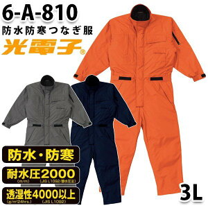 �Ȃ� �c�d�L�� 6-A-810 �h���h���c�d�L�� 3L �傫���T�C�Y �h����SALE�Z�[���R�c�C�Ȃ��I�[�g�o�C