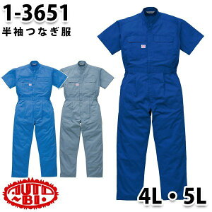 Ȃ cdL 1-3651 cdL 4L`5L 傫TCY cdLSALEZ[RcCȂI[goC