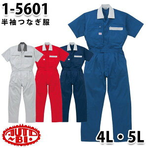 Ȃ cdL 1-5601 cdL 4L`5L 傫TCY cdLSALEZ[RcCȂI[goC