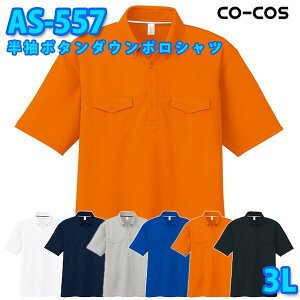 R[RX ƕ |Vc Y fB[X z AS-557 {^_E|Vc 3L 傫TCYSALEZ[