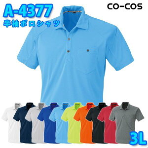 R[RX ƕ Vc Y fB[X zDRY A-4377 |Vc 3L 傫TCYSALEZ[