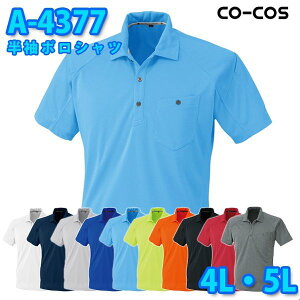 R[RX ƕ Vc Y fB[X zDRY A-4377 |Vc 4LE5L 傫TCYSALEZ[