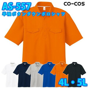 R[RX ƕ |Vc Y fB[X z AS-557 {^_E|Vc 4LE5L 傫TCYSALEZ[