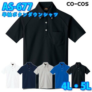 R[RX ƕ |Vc Y fB[X z AS-677 {^_EVc 4LE5L 傫TCYSALEZ[