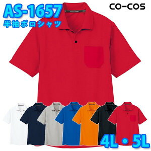 R[RX ƕ |Vc Y fB[X zDRY AS-1657 |Vc 4LE5L 傫TCYSALEZ[