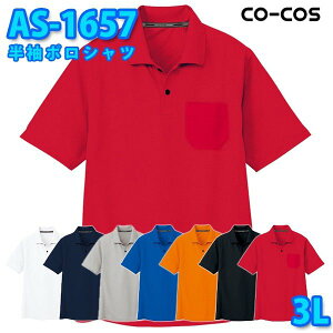 R[RX ƕ |Vc Y fB[X zDRY AS-1657 |Vc 3L 傫TCYSALEZ[