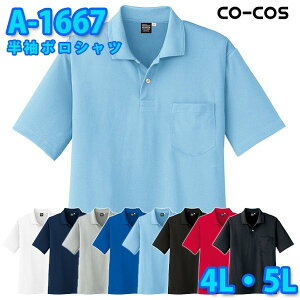 R[RX ƕ |Vc Y fB[X zDRY A-1667 |Vc 4LE5L 傫TCYSALEZ[