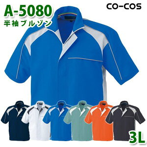 R[RX ƕ AE^[ Y fB[X tėp A-5080 u] 3L 傫TCYSALEZ[