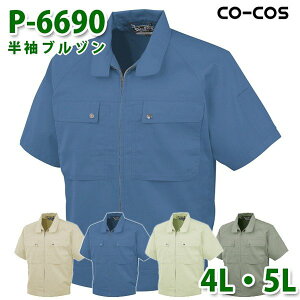 R[RX ƕ AE^[ Y fB[X tėp P-6690 u] 4LE5L 傫TCYSALEZ[