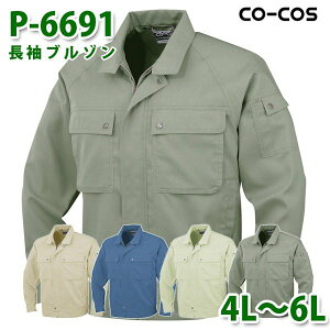 R[RX ƕ AE^[ Y fB[X tėp P-6691 u] 4L`6L 傫TCYSALEZ[