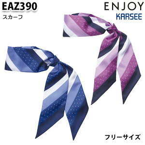 EAZ390 XJ[t J[V[KARSEEGWCENJOYItBXEFASALEZ[