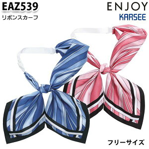 EAZ539 {XJ[t J[V[KARSEEGWCENJOYItBXEFASALEZ[