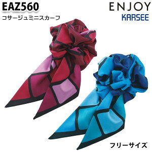 EAZ560 RT[W~jXJ[t J[V[KARSEEGWCENJOYItBXEFASALEZ[