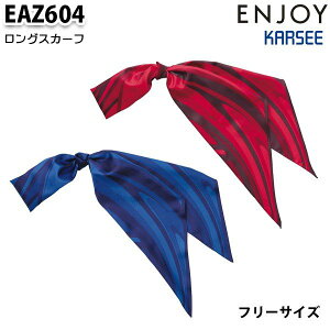 EAZ604 OXJ[t J[V[KARSEEGWCENJOYItBXEFASALEZ[