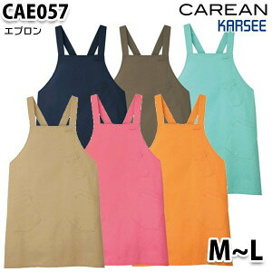 CAE057 Gvjp S`LL J[V[KARSEE앟 PASALEZ[n[gO[HEARTGREEN