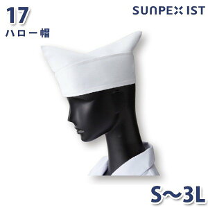 17 n[X zCg S`3L SERVOT[H   SALEZ[