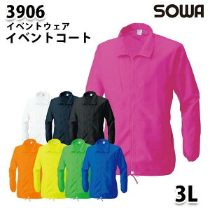 SOWA 3906 (3L) CxgR[g