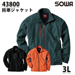 SOWA 43800 (3L) hWPbg