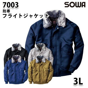 SOWA 7003 (3L) tCgWPbgEKaƕ\[Ɨp