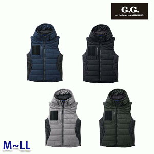 0024-06 hxXg MLL Ka SOWA\[ G.G.ƕ ƗpSALEZ[AW21