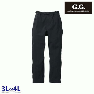 0284-08 hhJ[Spc 3L4L Ka SOWA\[ G.G.ƕ ƗpSALEZ[AW21