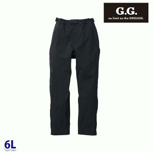 0284-08 hhJ[Spc 6L Ka SOWA\[ G.G.ƕ ƗpSALEZ[AW21