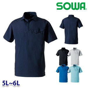 0495-51 |Vc(|PbgL) 5L6L Ka SOWA\[ ƕ ƗpSALEZ[25SS