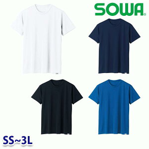 8005-63 TVc SS~3L Ka SOWA\[ ƕ ƗpSALEZ[SW22