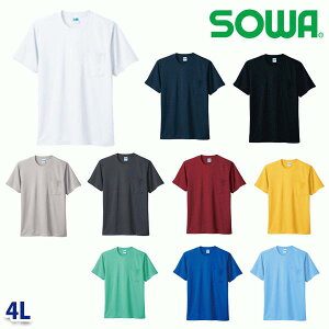 50121 TVc(|Pbgt) 4L Ka SOWA\[ ƕ ƗpSALEZ[SW22