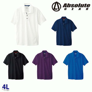 50557 |Vc 4L Ka SOWA\[ Absolute GEARƕ ƗpSALEZ[SW22