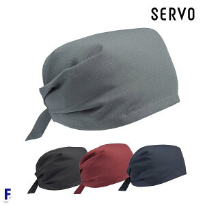 BC5101 OpЃo_iX F Xq HipjtH[ SERVOT[H FS24