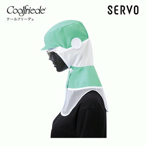 Hip/Hp CD-590-H1 N[t[h O[ S~LL SERVOT[H FF21