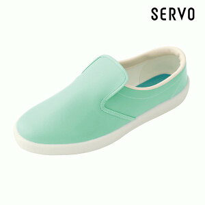 HipV[Y/HpV[Y S4000-H1 VFtCg O[ 22.0~29.0 SERVOT[H FF21