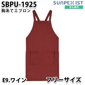 SBPU-1925-E9 jp ăGv C SerVo SUNPEX IST