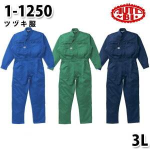 Ȃ cdL 1-1250 cdL 3L 傫TCY cdLSALEZ[RcCȂI[goC