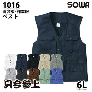 SOWA\[ 1016 (6L) xXgΑEƕ
