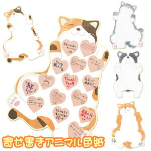 񂹏Aj}F L y~P g Vo uz