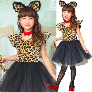 veBIp[h LbY120 nEB RX`[